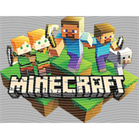 Minecraft-MN 11